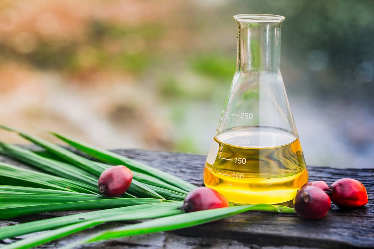 Palm oil supply Malaysia industrial oil supplier